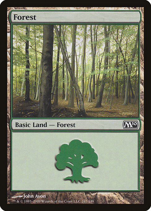 Forest 247