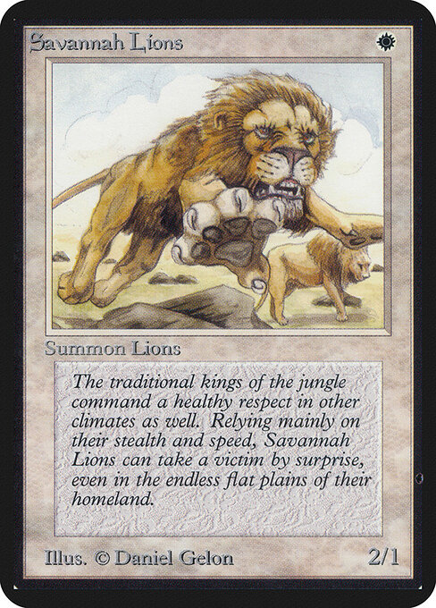 Savannah Lions 38
