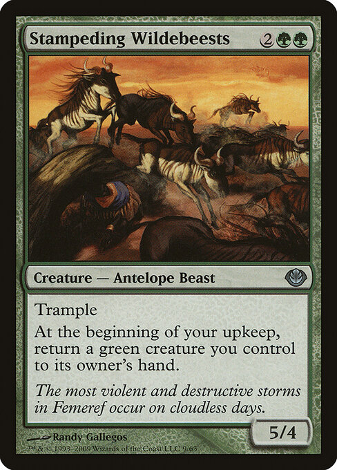 Stampeding Wildebeests 9