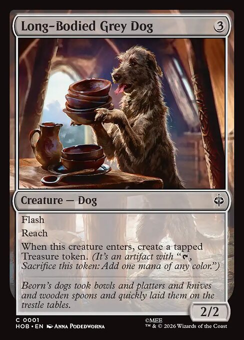 Long-Bodied Grey Dog 1