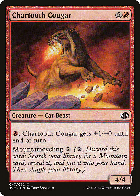 Chartooth Cougar 47
