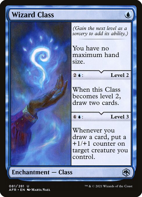 Wizard Class 81