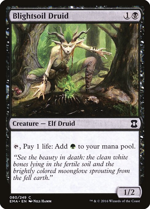 Blightsoil Druid 80