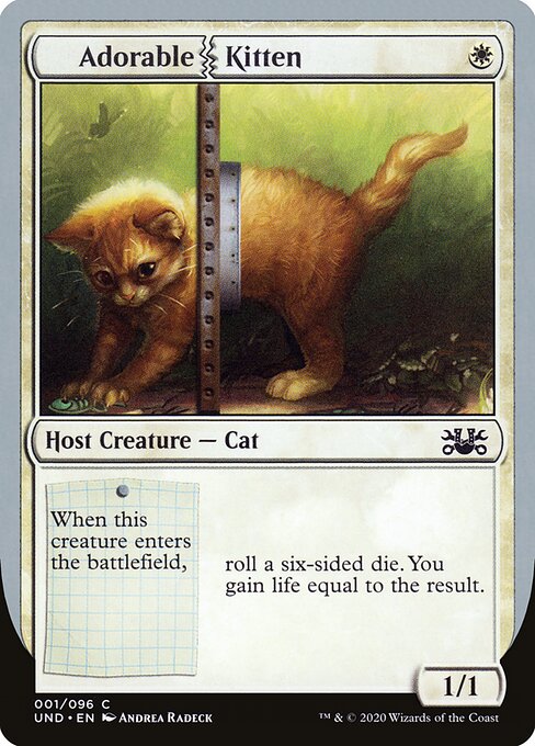 Adorable Kitten 1