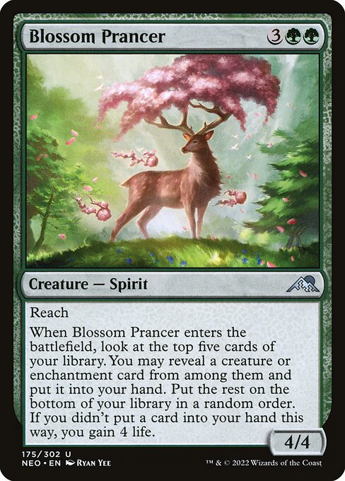 Blossom Prancer 175