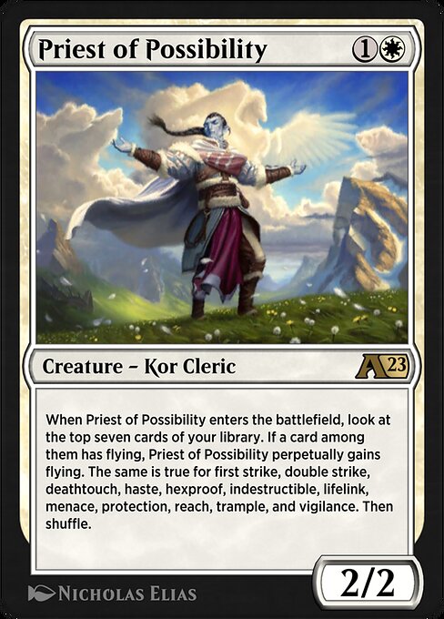 Priest of Possibility 2