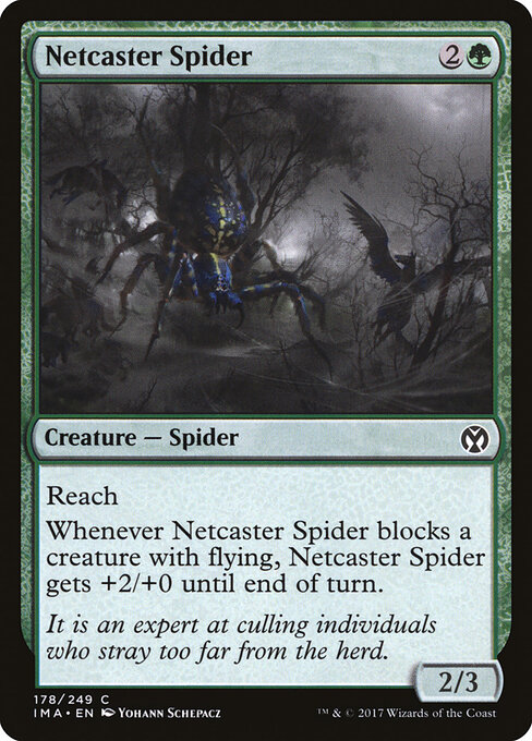 Netcaster Spider 178