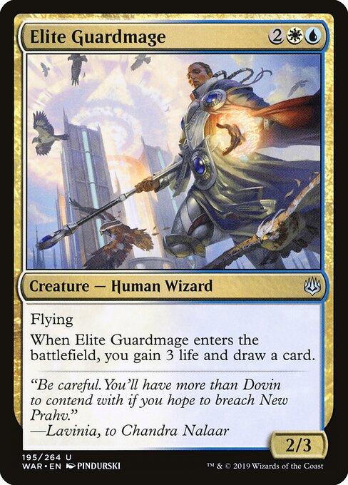 Elite Guardmage 195