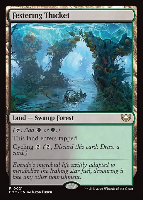 Festering Thicket 21