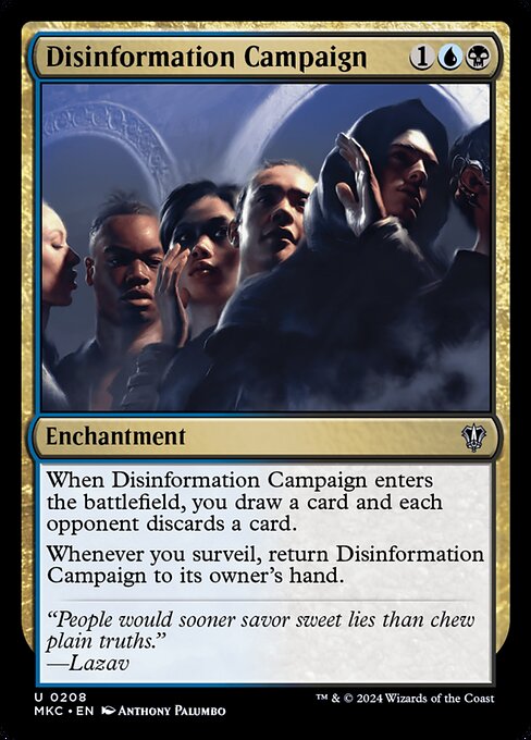 Disinformation Campaign 208