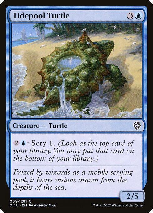 Tidepool Turtle 69