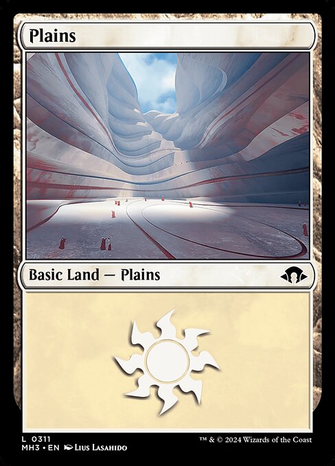 Plains 311