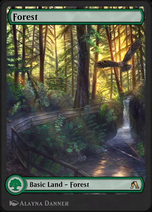Forest 271