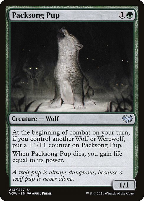 Packsong Pup 213