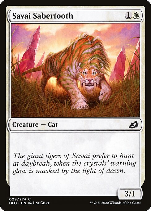 Savai Sabertooth 29