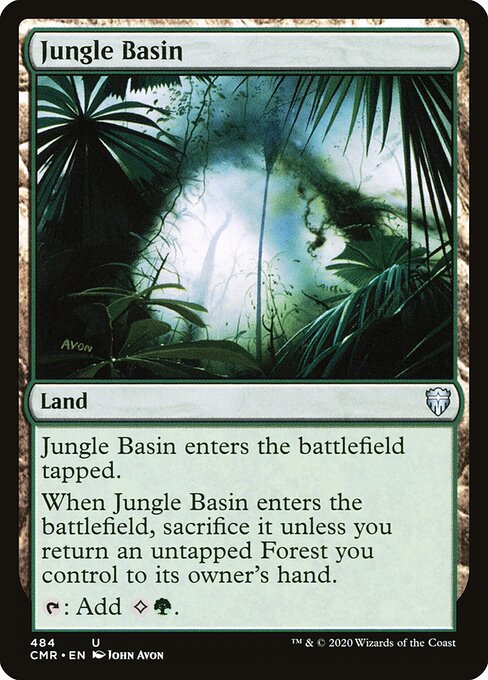 Jungle Basin 484