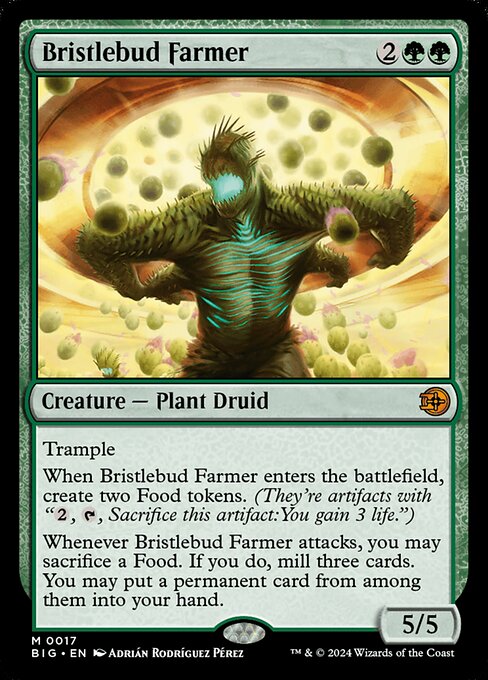 Bristlebud Farmer 17