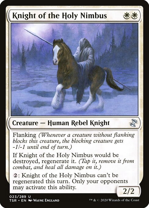 Knight of the Holy Nimbus 23