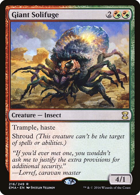 Giant Solifuge 216