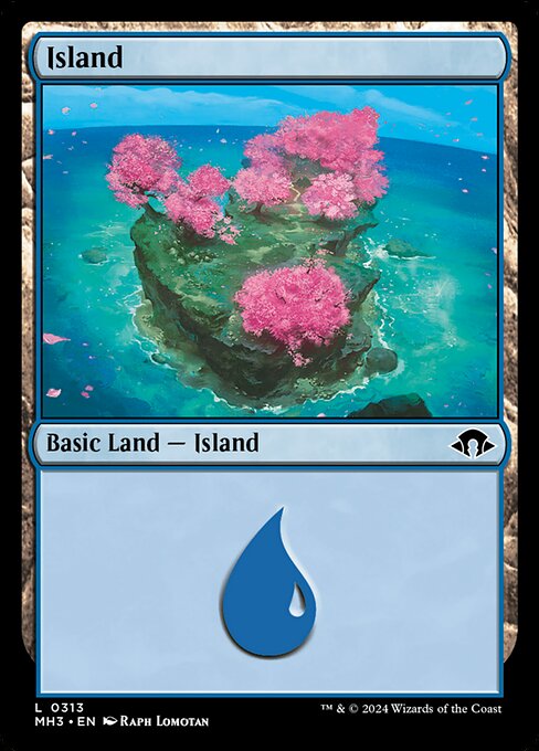 Island 313