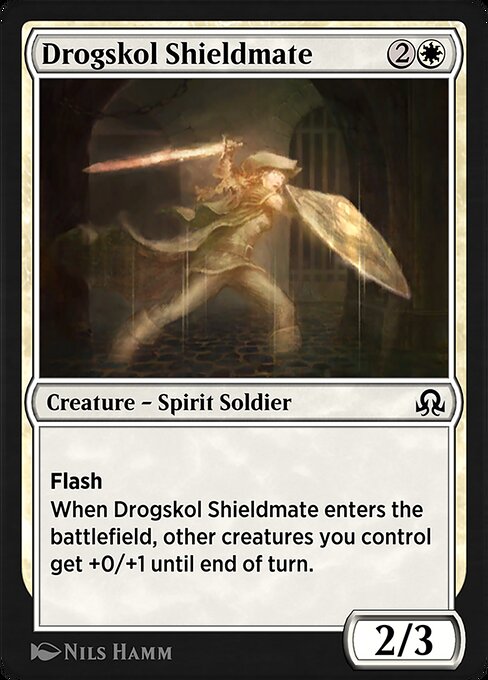 Drogskol Shieldmate 26