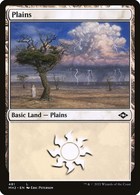 Plains 481