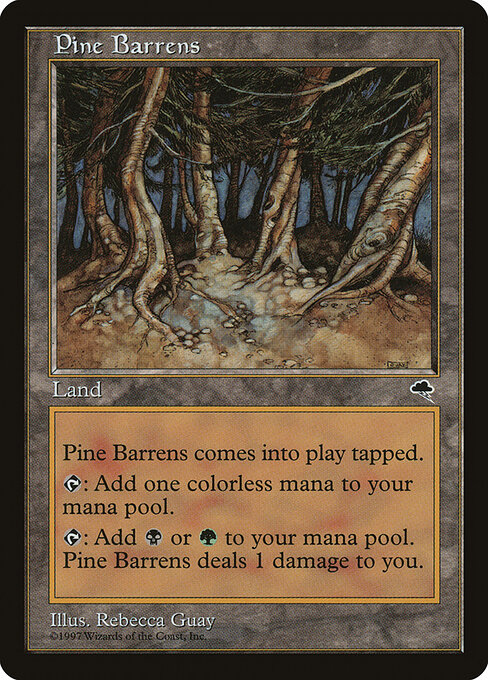 Pine Barrens 321