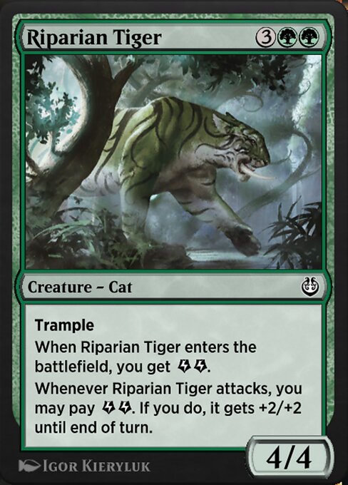 Riparian Tiger 178