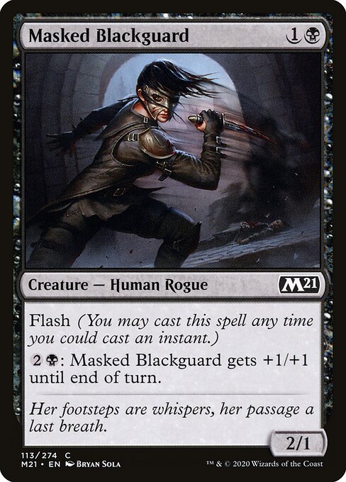 Masked Blackguard 113