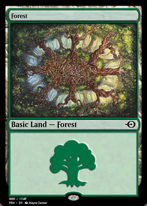 Forest 81908