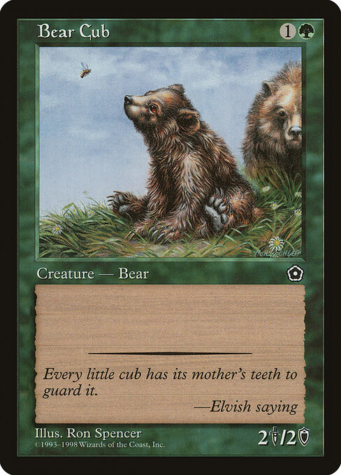 Bear Cub 123