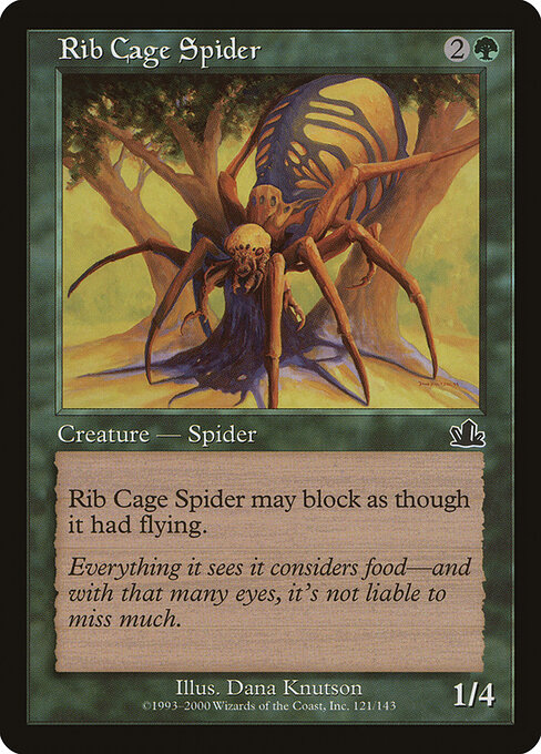 Rib Cage Spider 121