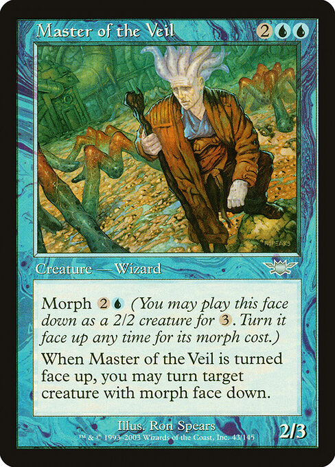 Master of the Veil 43