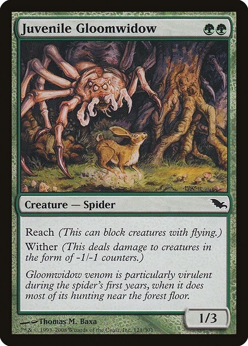 Juvenile Gloomwidow 121