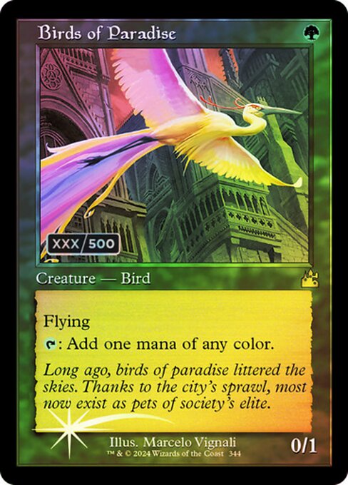 Birds of Paradise 344z