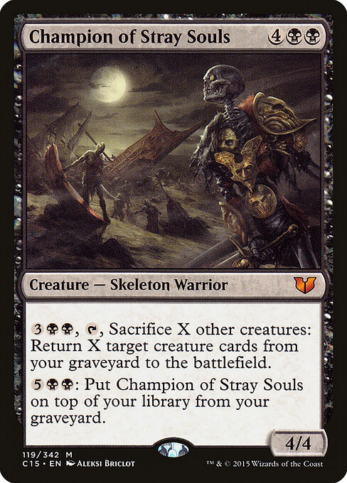 Champion of Stray Souls 119
