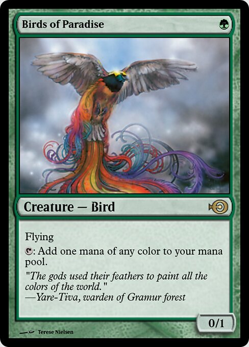 Birds of Paradise 37598