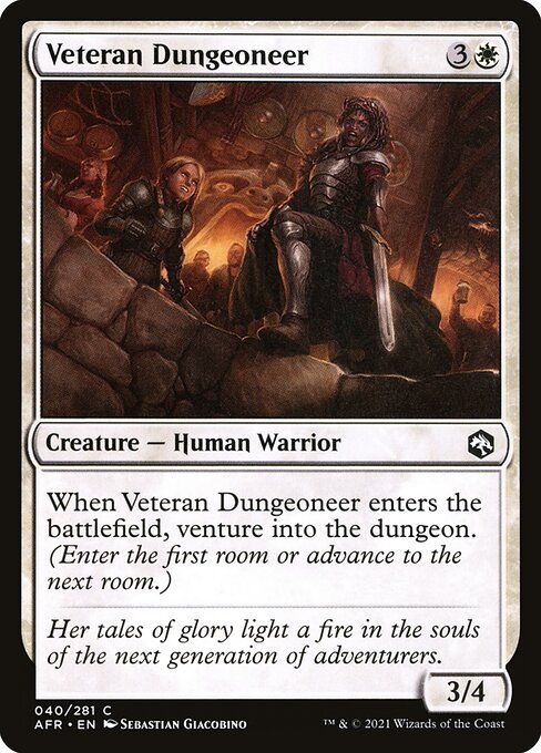 Veteran Dungeoneer 40