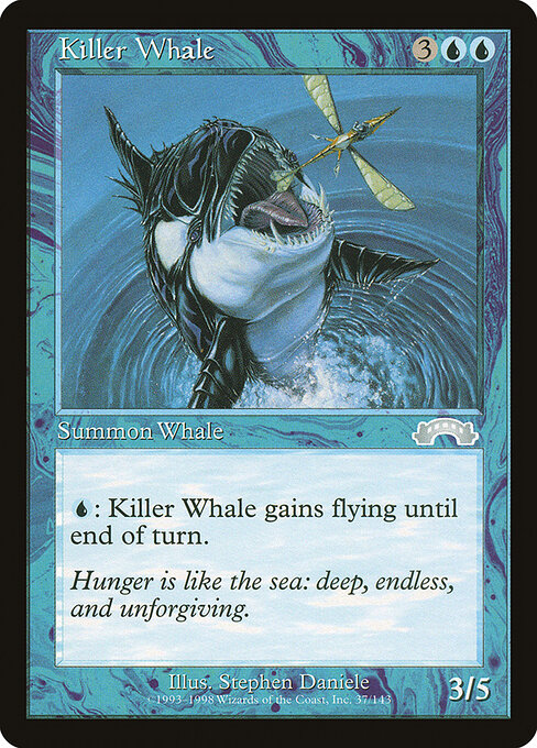 Killer Whale 37