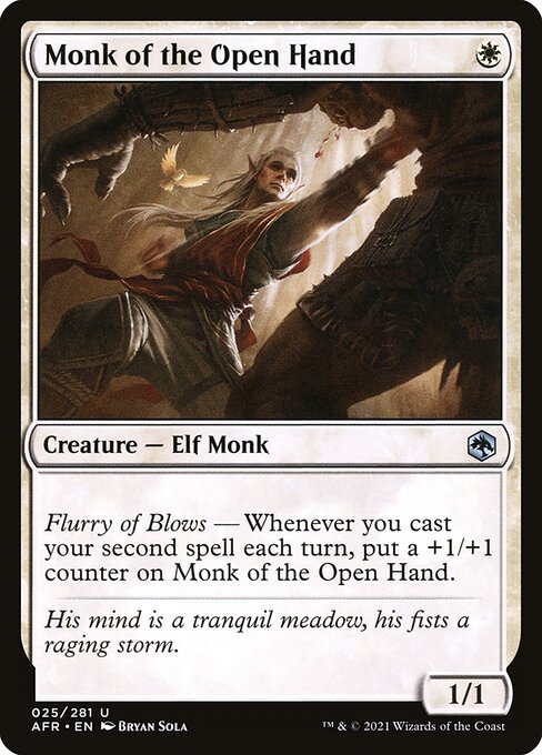 Monk of the Open Hand 25