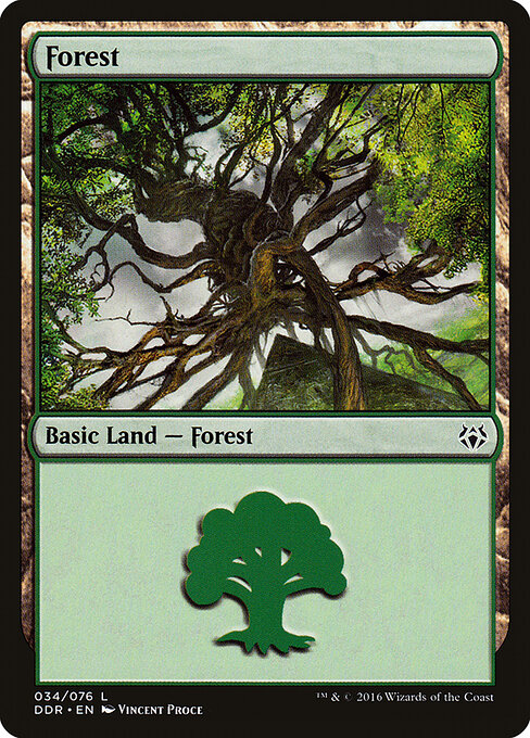 Forest 34