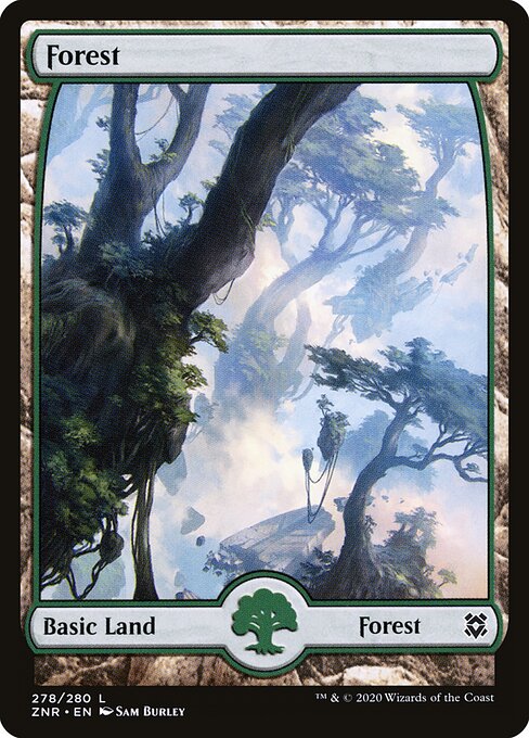 Forest 278