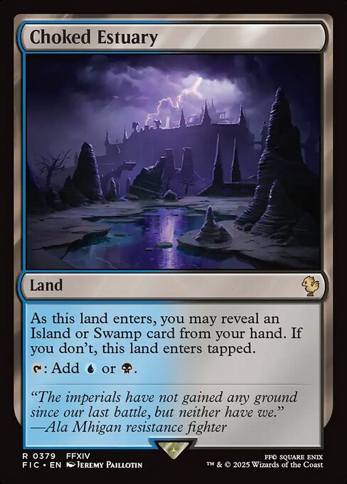 Choked Estuary 379