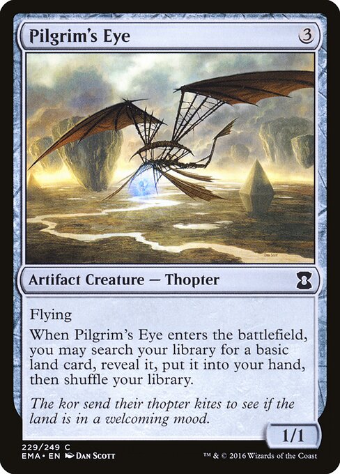 Pilgrim's Eye 229