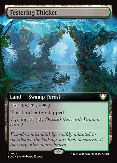 Festering Thicket 41