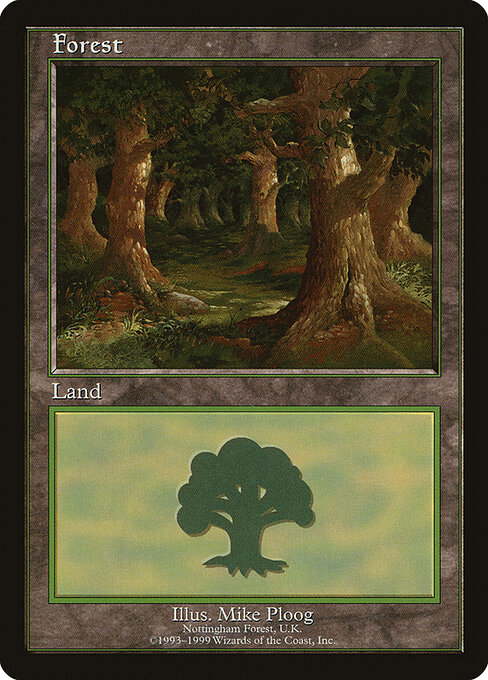 Forest 11