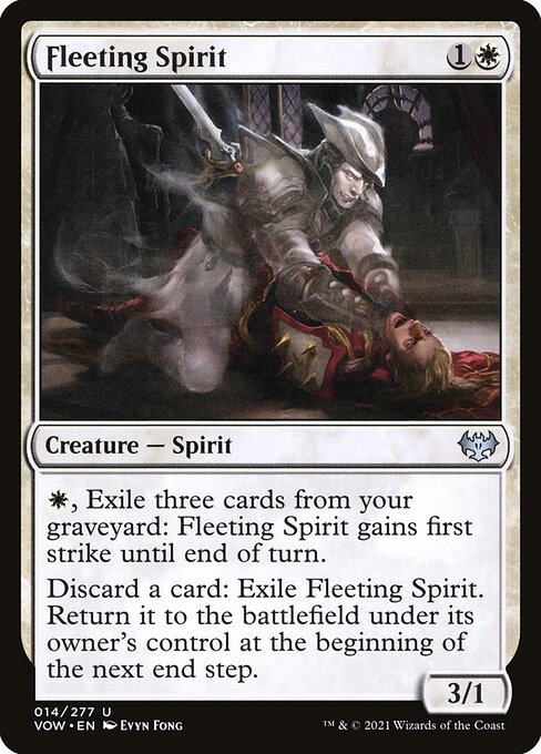 Fleeting Spirit 14