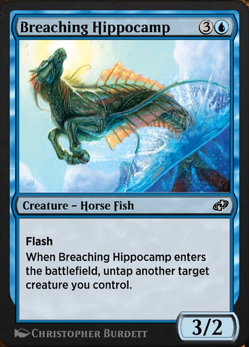 Breaching Hippocamp 170