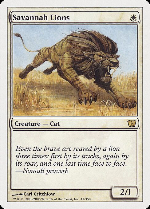 Savannah Lions 41