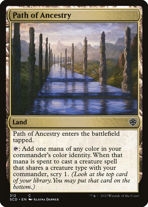 Path of Ancestry 312